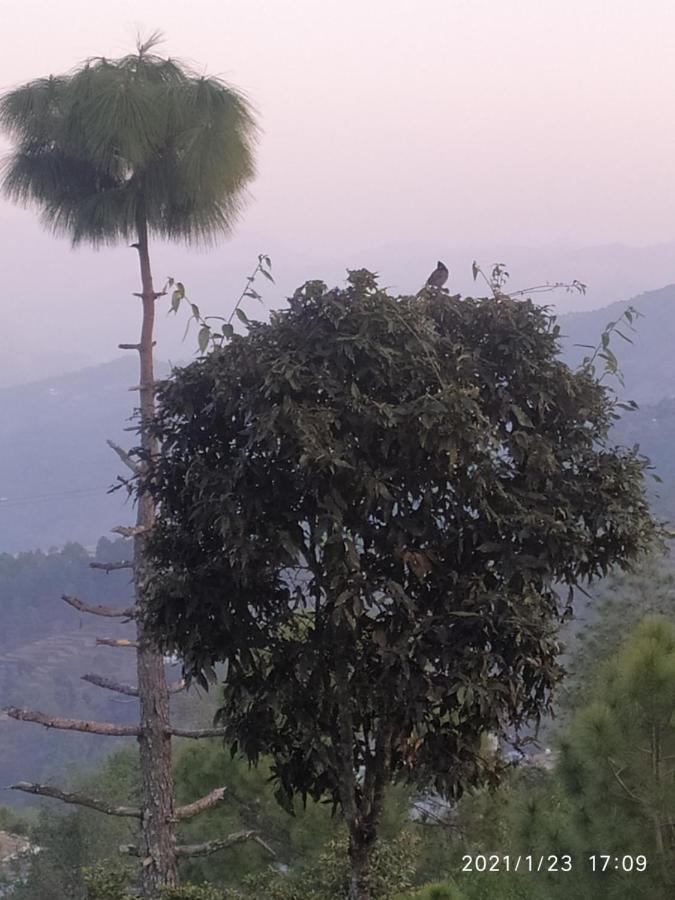 Mangalmurti Himalyan Homestay Hawalbagh Esterno foto